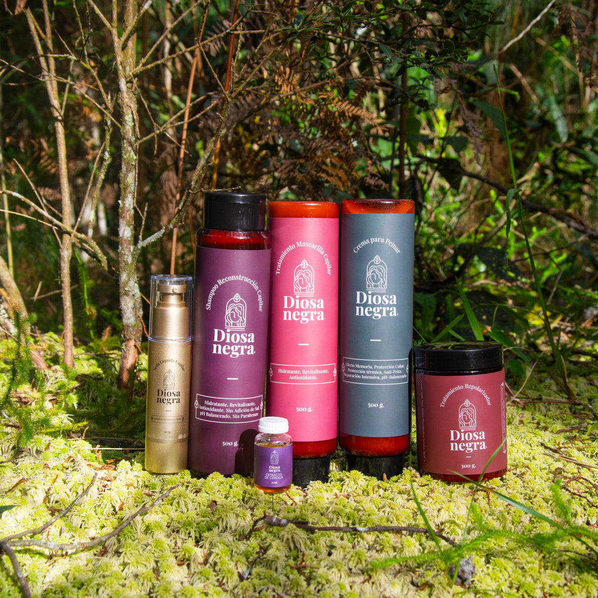 KIT RENACIMIENTO CAPILAR
