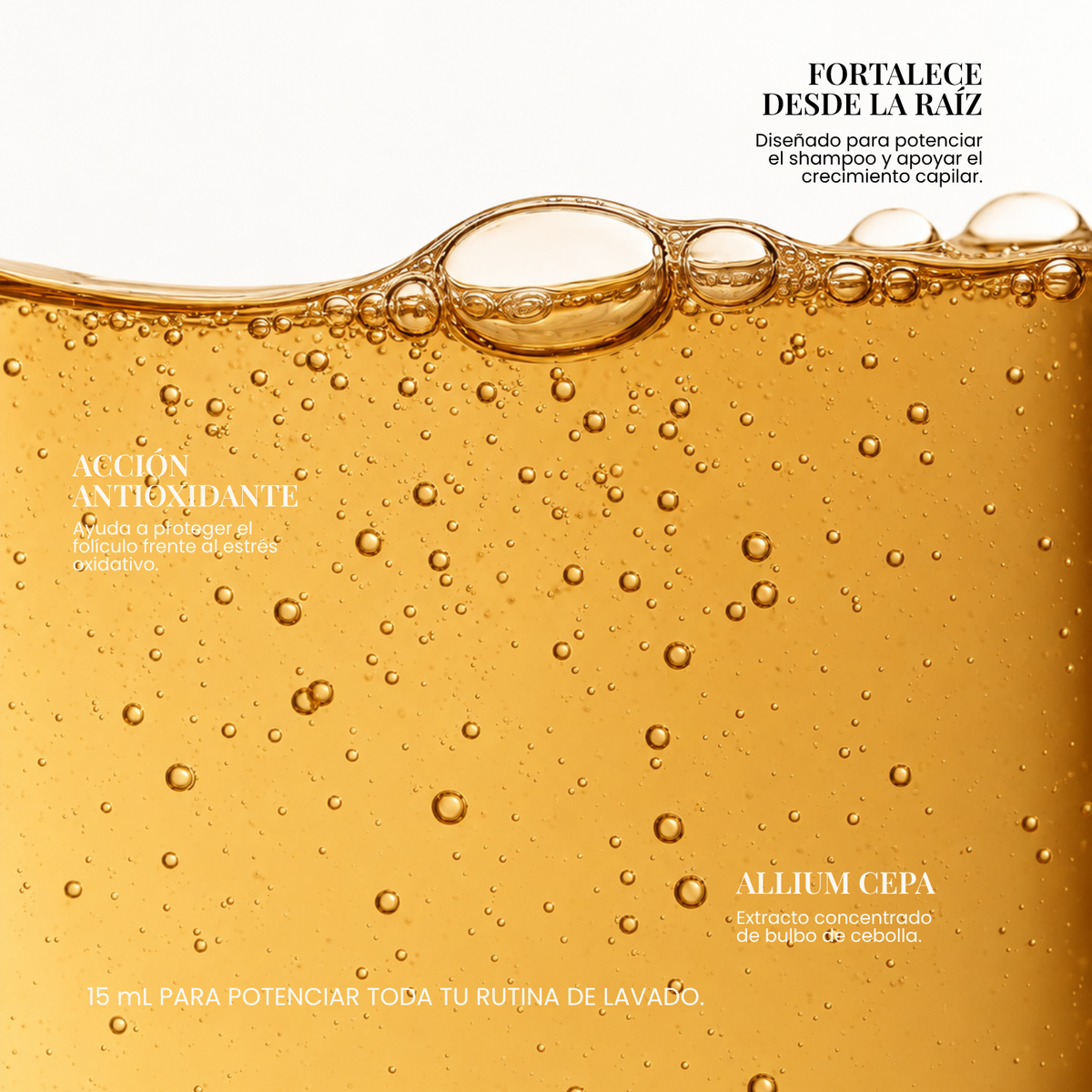 Extracto de Cebolla – Ampolla Capilar